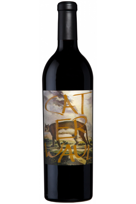 Caterwaul 2023 Cabernet Sauvignon, Napa Valley - Brix26 Wines