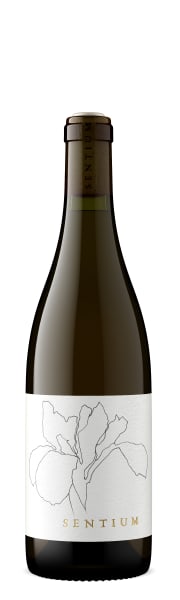 Sentium 2023 Sauvignon Blanc, Napa Valley, Mendocino