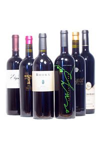 Best Boutique California Zinfandels Mixed Case - Brix26