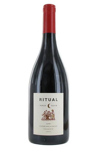 Ritual 2020 Pinot Noir, Casablanca Valley Chile - Brix26 Wines